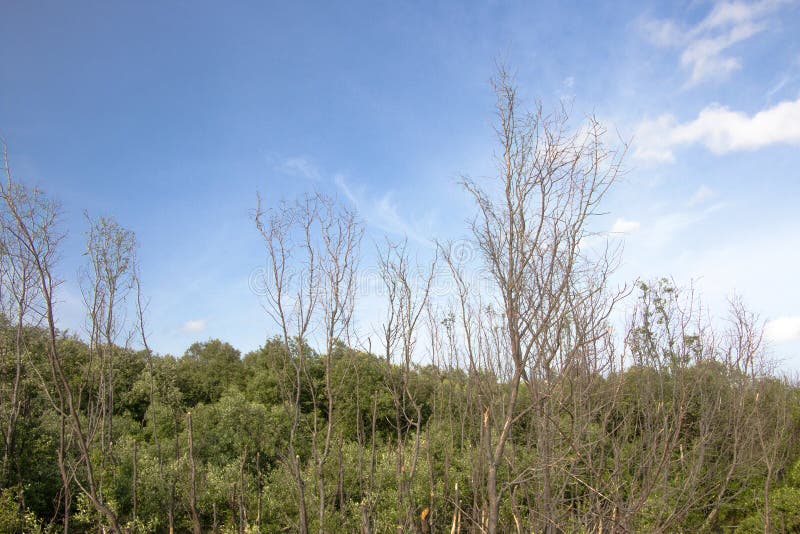 Заход солнца неба и предпосылка облаков Стоковое Фото - изображение ...