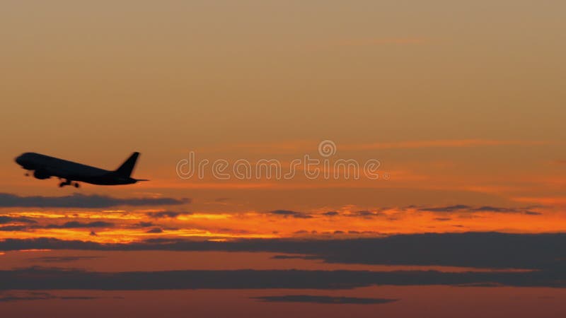 Летание силуэта самолета черное против золотого неба вечера