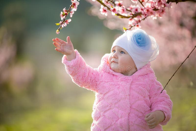 1-2 year old baby in a pink jacket close-up portrait in a blooming peach garden. 1-2 year old baby in a pink jacket close-up portrait in a blooming peach garden.