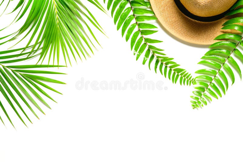 Traveler accessories, tropical palm leaf with fren leaf and hat isolated on white background with empty space for text. Travel vacation concept. Summer background. Flat lay, top view. Traveler accessories, tropical palm leaf with fren leaf and hat isolated on white background with empty space for text. Travel vacation concept. Summer background. Flat lay, top view