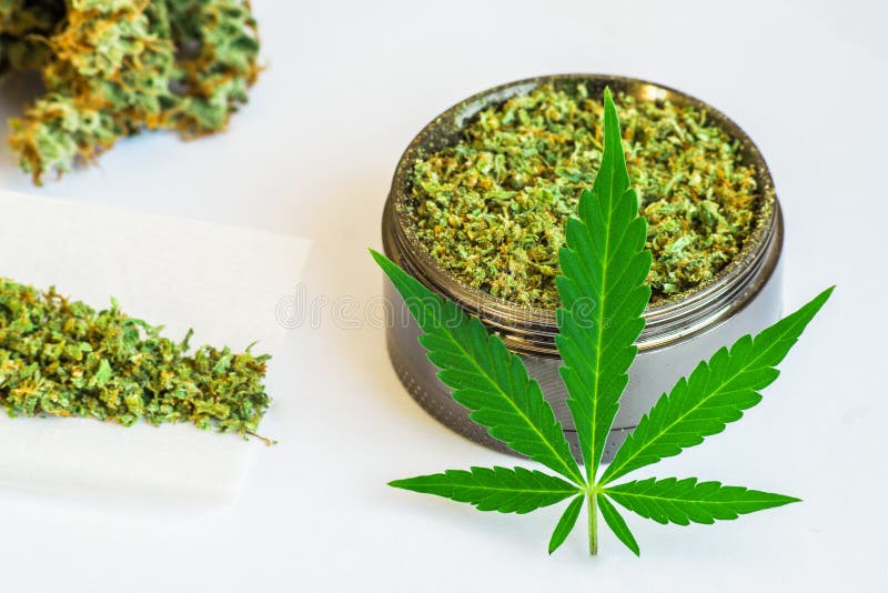 Тгк в листьях конопли марихуана повышенное давления