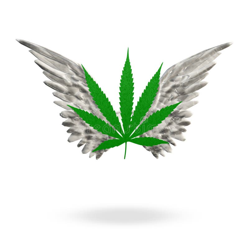Шаблон лист марихуаны вред сосудам от марихуаны