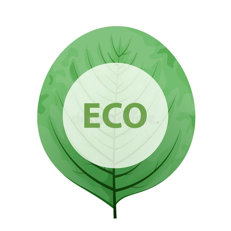 Лист с рамкой eco знак eco содружественный зеленый бесплатная иллюстрация