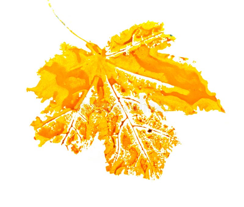 Осенние листья стоковое изображение