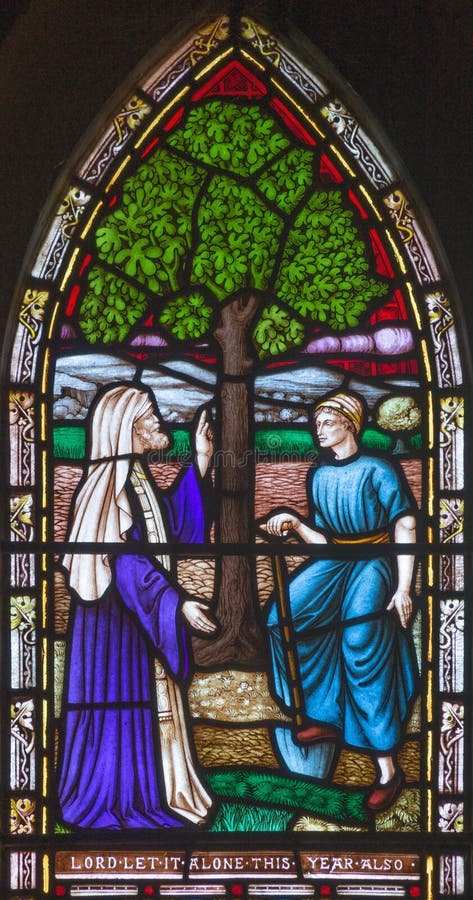 LONDON, GREAT BRITAIN - SEPTEMBER 19, 2017: The parable of the Fig tree on the stained glass in St Mary Abbot`s church on Kensington High Street. LONDON, GREAT BRITAIN - SEPTEMBER 19, 2017: The parable of the Fig tree on the stained glass in St Mary Abbot`s church on Kensington High Street.