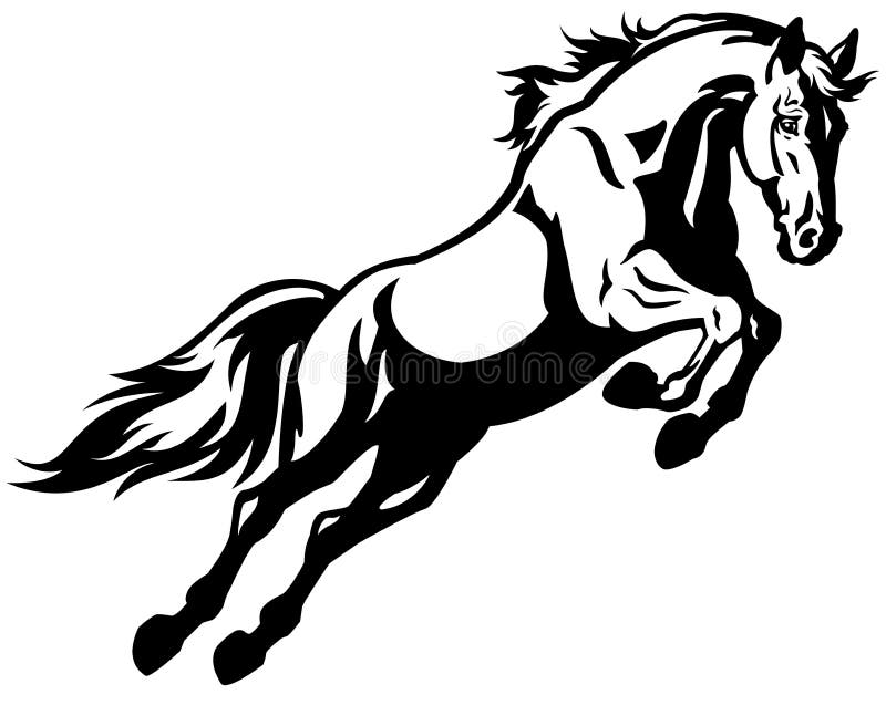 Horse jump, black white illustration. Horse jump, black white illustration