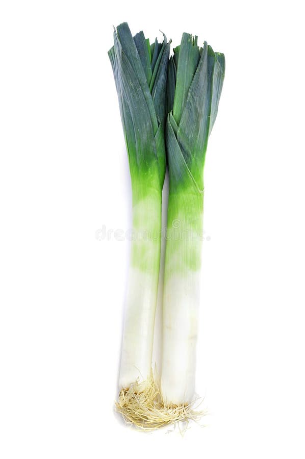 Some leeks on a white background. Some leeks on a white background