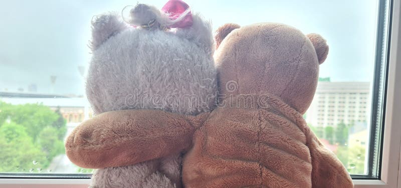 лучшие друзья, плюшевый медведь и кошка сидят на ветряне, обнимаясь и смотря в окно. концепция семейной любви и дружбы. оставаться дома в безопасности и карантин