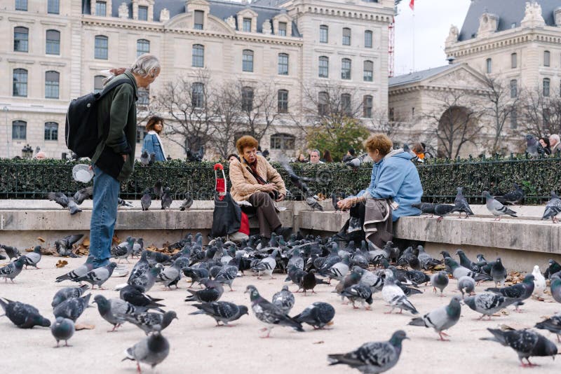 Paris, France - November 2, 2014: People feeding the pigeons in front of Notre-Dame Square. Paris, France - November 2, 2014: People feeding the pigeons in front of Notre-Dame Square