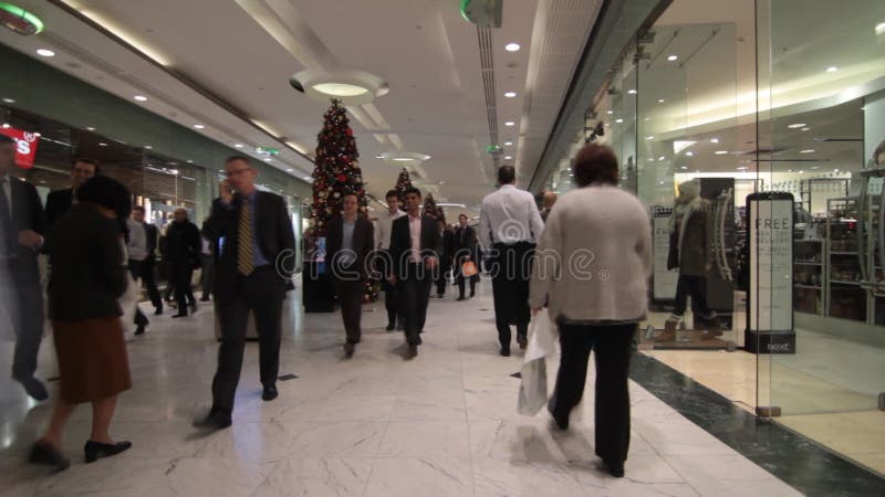 Люди ходя по магазинам для рождества в занятом моле