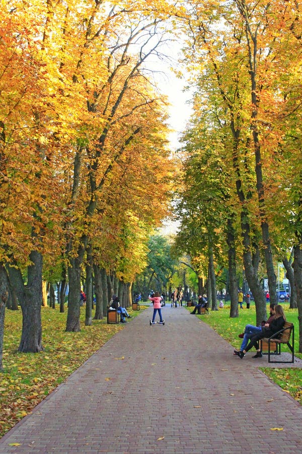 Люди идут на осенний парк города Сезон осени с желтой листвой на деревьях стоковая фотография Люди идут на осенний парк города Сезон осени с желтой листвой на деревьях стоковая фотография