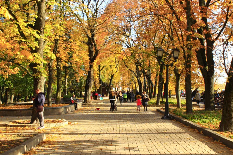 Люди идут на осенний парк города Сезон осени с желтой листвой на деревьях стоковая фотография rf Люди идут на осенний парк города Сезон осени с желтой листвой на деревьях стоковая фотография rf