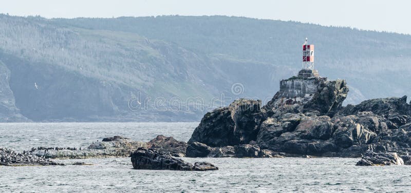 Малое lightstation маяка на утесах в пляже перспективы Bona правильном, Ньюфаундленде стоковые фото Малое lightstation маяка на утесах в пляже перспективы Bona правильном, Ньюфаундленде стоковые фото