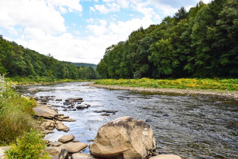 A small river in Pennsylvania flowing through a heavily forested valley. A small river in Pennsylvania flowing through a heavily forested valley.