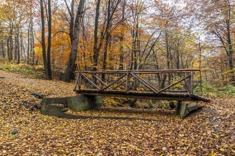 Малые деревья моста и осени, гора Vitosha, Болгария стоковая фотография Малые деревья моста и осени, гора Vitosha, Болгария стоковая фотография