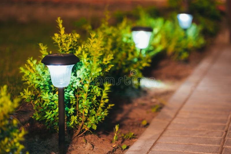 Малый солнечный свет сада, фонарик в цветнике сады hamilton Новая Зеландия сада конструкции