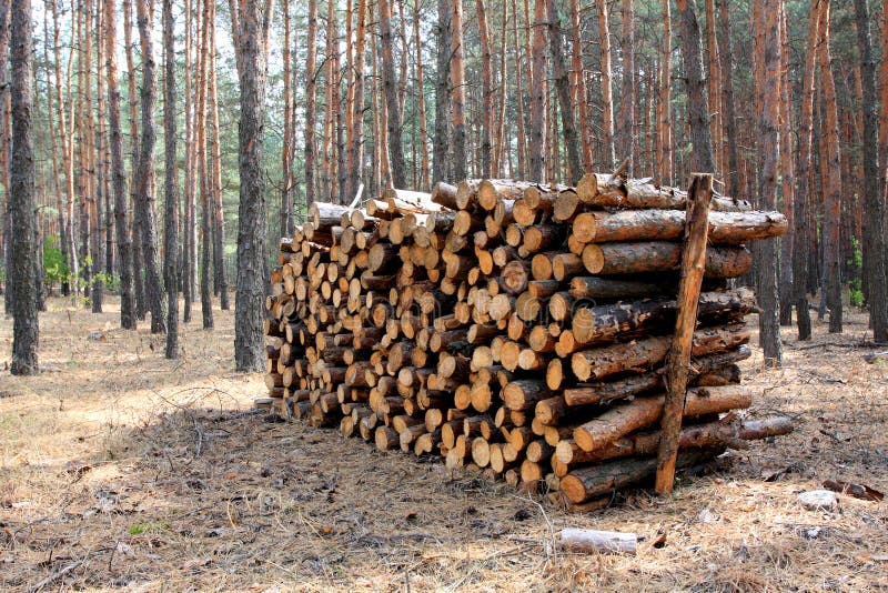 магазин швырка стоковое фото rf магазин швырка стоковое фото rf