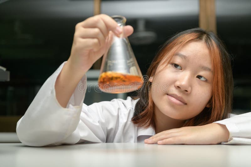 маленькие ученые дети смотрят на erlenmeyer фляжки, содержащие химические вещества для проведения экспериментов в лаборатории стоковое изображение rf