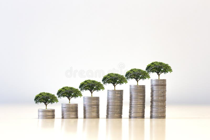 Маленькое дерево растет на монетной стекне Концепция экономии денег устойчивое  финансирование Стоковое Фото - изображение насчитывающей внимательность,  среда: 159657606