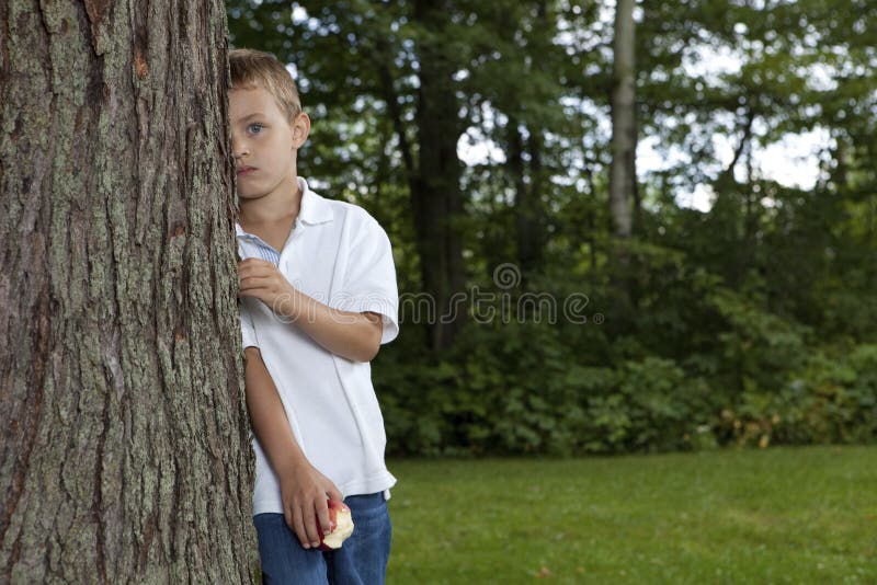 Shy boy hiding behind a tree. Shy boy hiding behind a tree