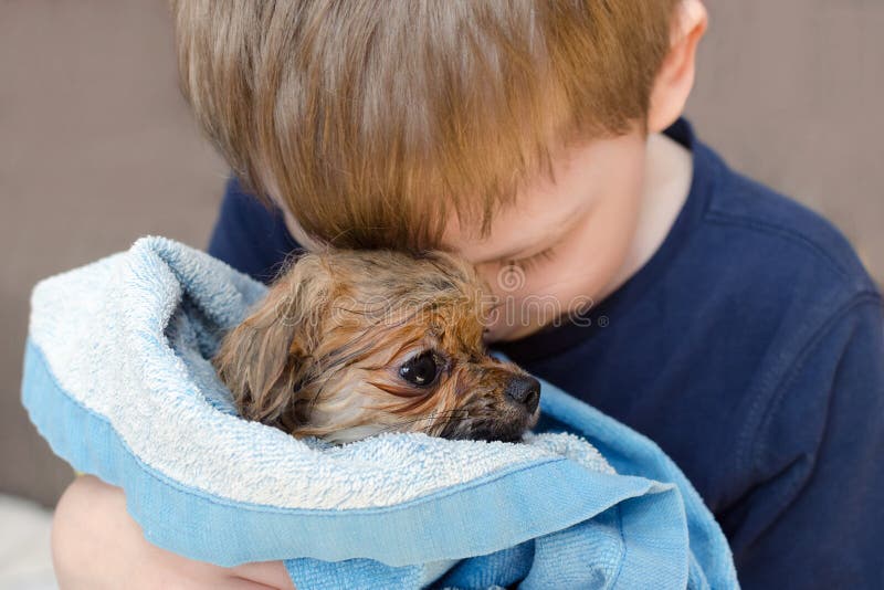 Мальчик обнимает с влюбленностью щенка влажной собаки pomeranian стоковая фотография Мальчик обнимает с влюбленностью щенка влажной собаки pomeranian стоковая фотография