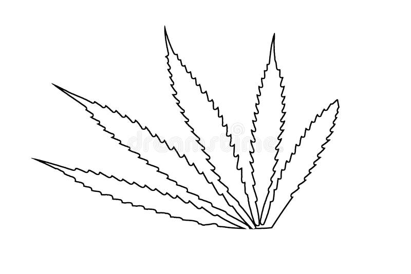 марихуана нарисованная