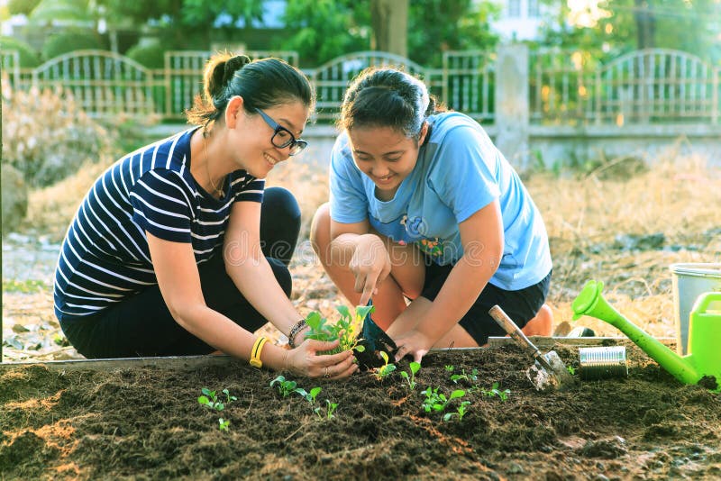 Мать и молодая дочь засаживая овощ в домашнем поле сада
