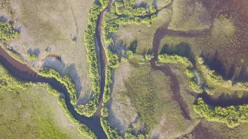 Меандры реки и наводнений. Зелень леса. Воздушное изображение в США. Панорамная вертикаль сверху на дно.