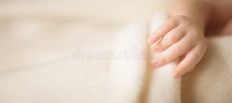 Меньшая рука newborn младенца ребенок ее мама Концепция материнства, семьи, заботы и рождения скопируйте космос для вашего текста стоковая фотография Меньшая рука newborn младенца ребенок ее мама Концепция материнства, семьи, заботы и рождения скопируйте космос для вашего текста стоковая фотография