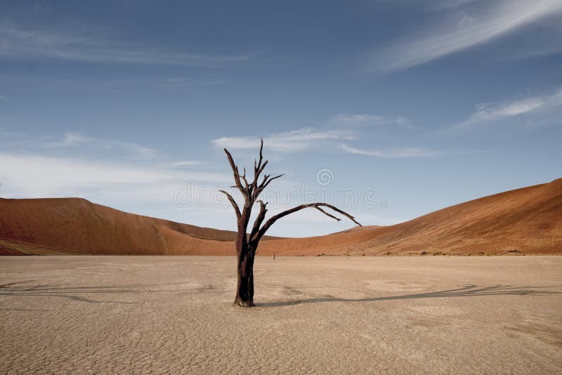 Мертвые деревья Camelthorn против красных дюн и голубого неба в Deadvlei, Sossusvlei Национальный парк Namib-Naukluft, Намибия, А стоковая фотография Мертвые деревья Camelthorn против красных дюн и голубого неба в Deadvlei, Sossusvlei Национальный парк Namib-Naukluft, Намибия, А стоковая фотография