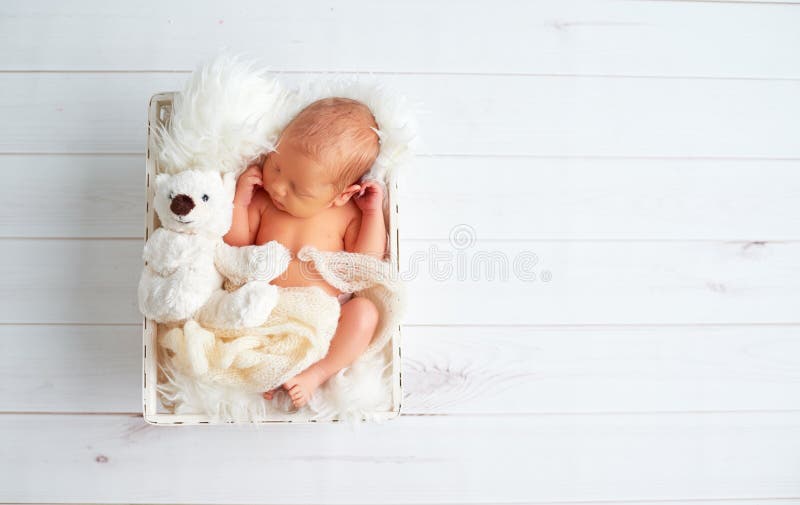 Милый newborn младенец спит с плюшевым медвежонком игрушки в корзине стоковые изображения