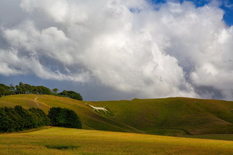 Мистическая белая лошадь около Avebury стоковая фотография Мистическая белая лошадь около Avebury стоковая фотография