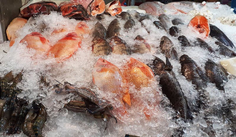 Многие из свежей рыбы с соленой водой из свежих морепродуктов в Таиланде в холодильнике ресторана стоковая фотография rf