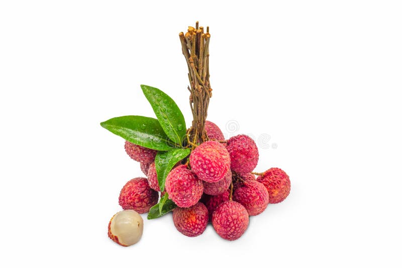 Много свежих lychees изолированных на белом фоне стоковая фотография