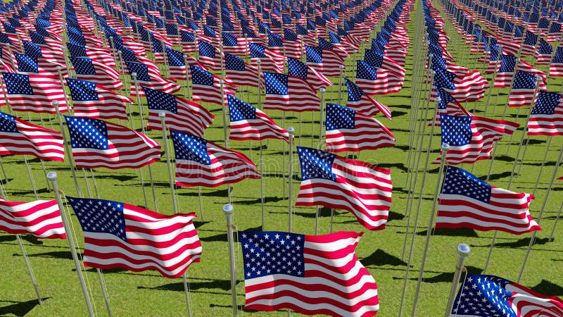 Много флагов США на флагштоках развевая в ветре в зеленом поле бесплатная иллюстрация Много флагов США на флагштоках развевая в ветре в зеленом поле бесплатная иллюстрация