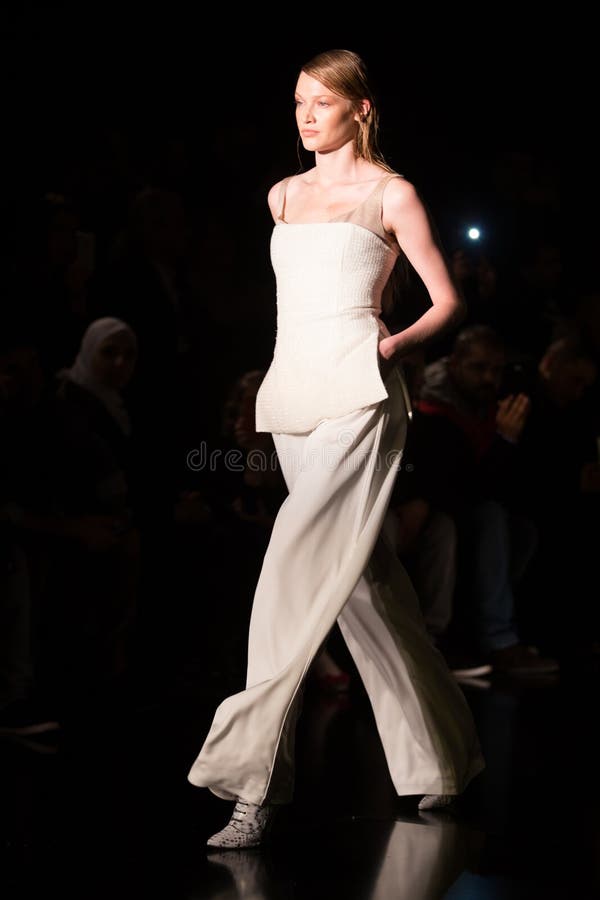 Мода Fashionist справедливая стоковое изображение rf Мода Fashionist справедливая стоковое изображение rf