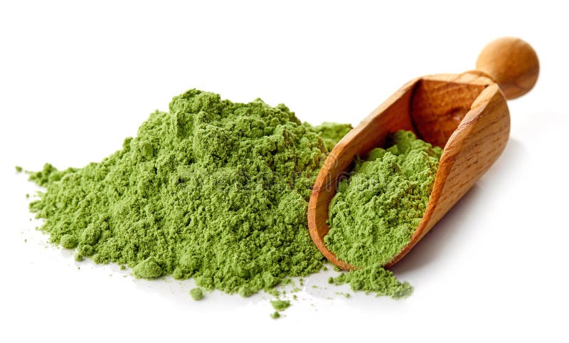 Молодая трава ячменя или пшеницы, superfood вытрезвителя, белая предпосылка стоковые изображения rf