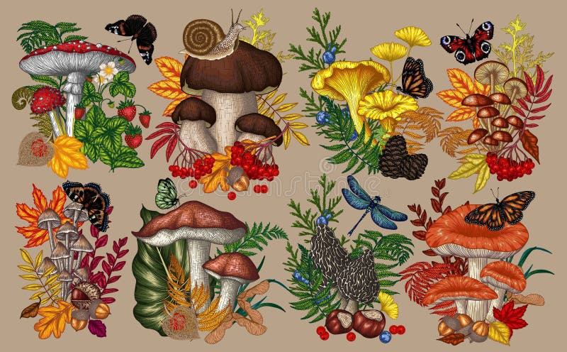 Vector set of 8 bushes with mushrooms, plants, insects, berries