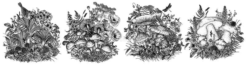 Vector set of 4 forest bushes with mushrooms