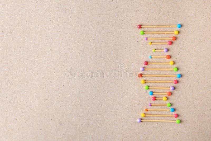модель молекулярной цепи dna на бэйге. пробел для текста стоковая фотография rf