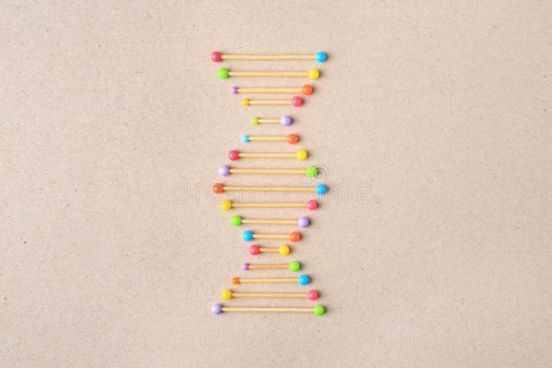 модель молекулярной цепи dna на бэйге стоковое изображение