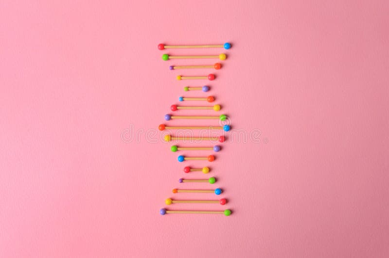 модель молекулярной цепи dna на розовом фоне сверху стоковые изображения rf