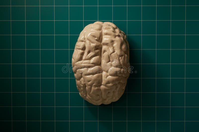 Human brain on science operating room table. Human brain on science operating room table