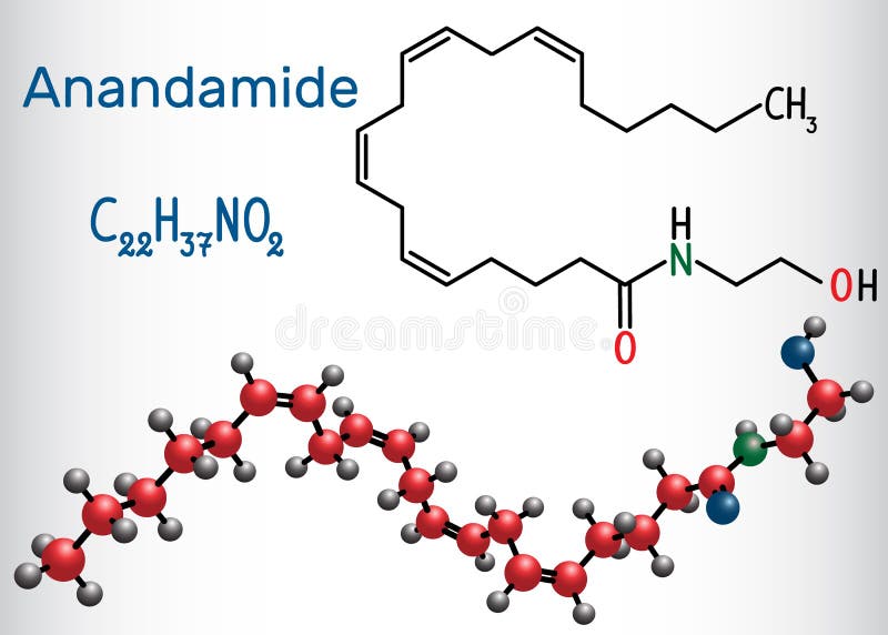 Молекула Anandamide Эндогенное neurotransmitt cannabinoid иллюстрация штока Молекула Anandamide Эндогенное neurotransmitt cannabinoid иллюстрация штока