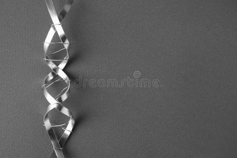 молекулярная цепная модель dna, изготовленная из металла в сером верхнем представлении. пробел для текста стоковая фотография rf