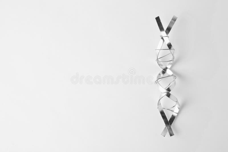 молекулярная цепная модель dna, изготовленная из металла на белом фоне сверху. пробел для текста стоковые фотографии rf