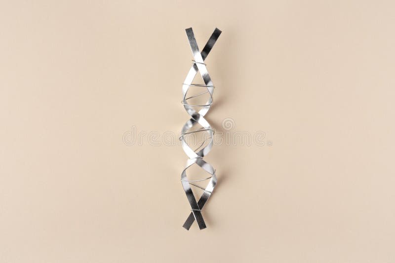 молекулярная цепная модель dna, изготовленная из металла на бэйге, вид сверху стоковые фото