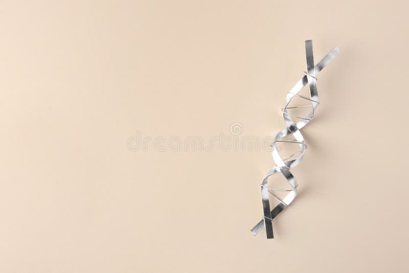 молекулярная цепная модель dna, изготовленная из металла на бэйге, вид сверху. пробел для текста стоковые изображения