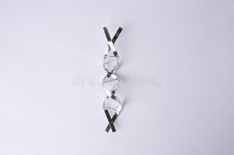 молекулярная цепь dna, изготовленная из металла на белом фоне сверху стоковая фотография rf