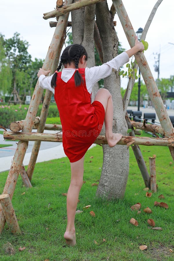 Молодая азиатская девочка взбирается на дерево в природном саду стоковое фото rf